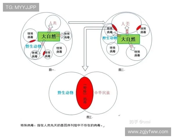武汉排球队节奏对比分析揭示战术变化与球队表现的深层关系 武汉排球队节奏对比分析揭示战术变化与球队表现的深层关系