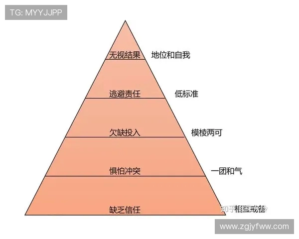 武汉羽毛球队精英赛团队协作表现分析与总结