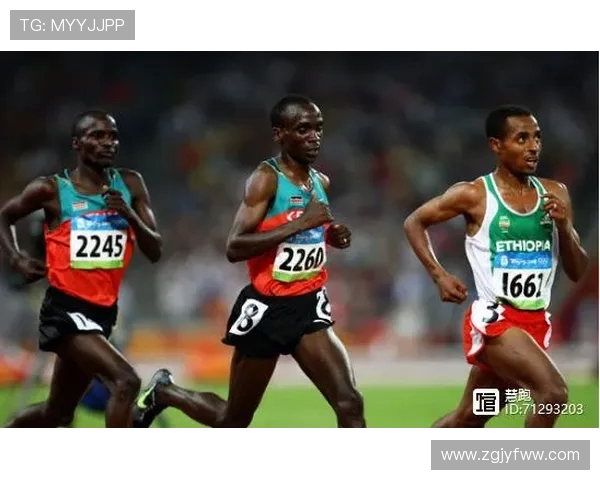 西安乒乓球队耐力提升之路探讨与热议