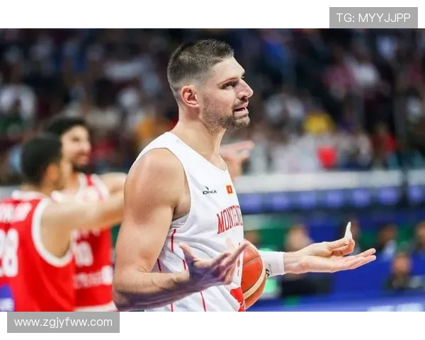 尼古拉武切维奇的传奇人生与对现代科技的深远影响