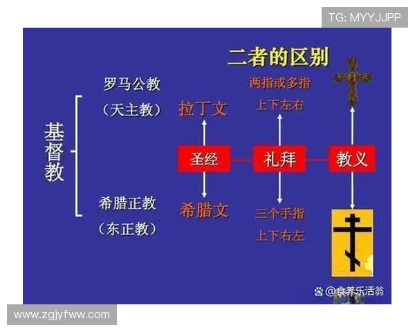 普R斯与拿加沙的对决:历史背景与未来走向的深度剖析