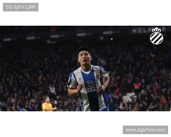 西班牙与波黑足球对决比分预测及赛前分析详解 西班牙与波黑足球对决比分预测及赛前分析详解