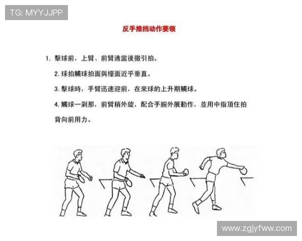 乒乓球新手必看灵活性训练技巧与入门指导全解析 乒乓球新手必看灵活性训练技巧与入门指导全解析